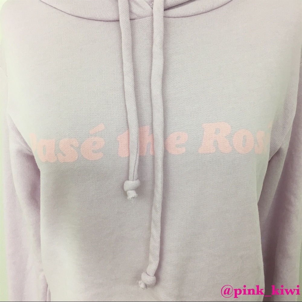 ⬇️REDUCED❗️ Wildfox Pasé The Rosé Ivy Hoodie - Picture 2 of 8